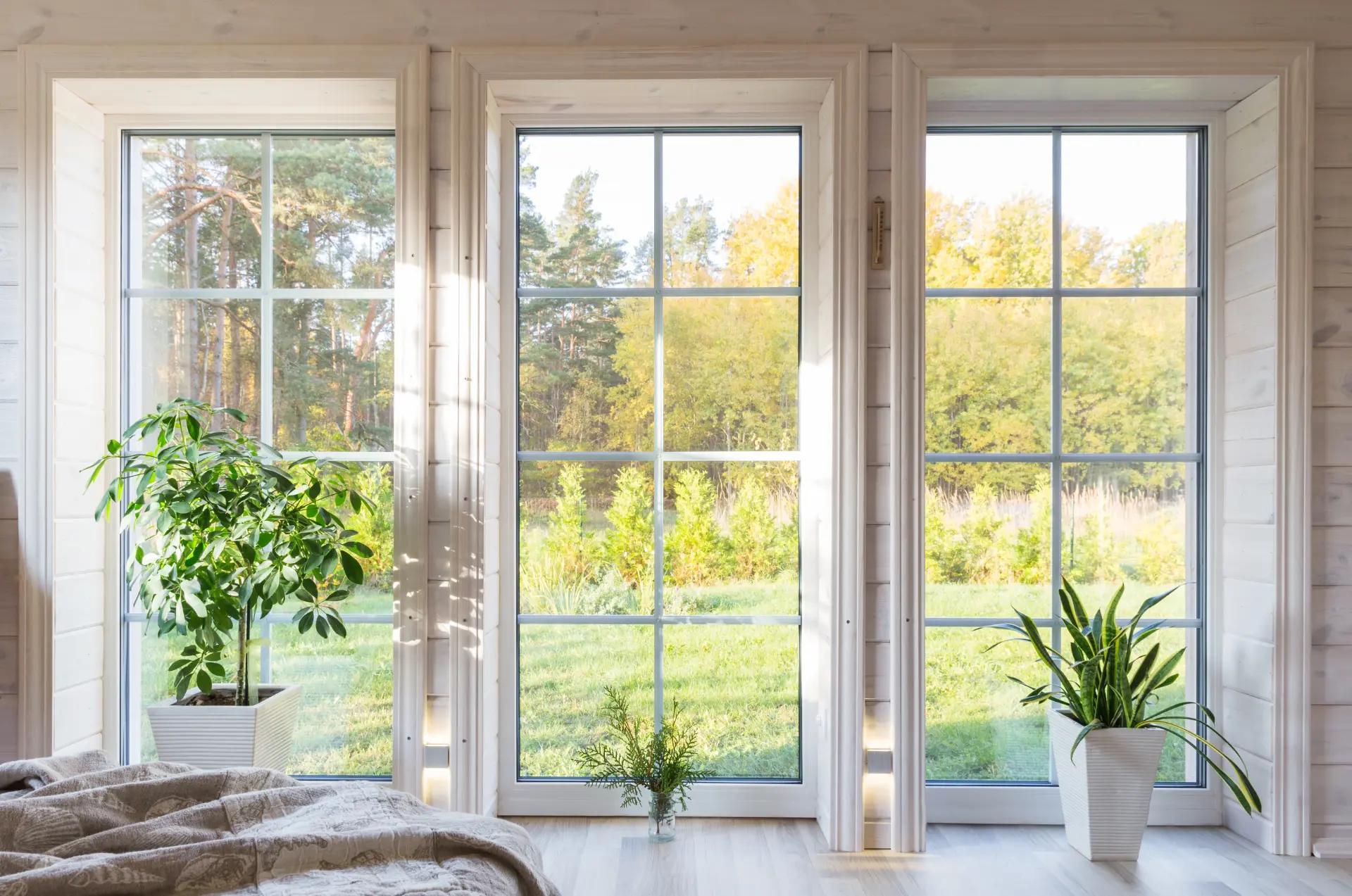 Three tall replacement windows overlooking a green landscape