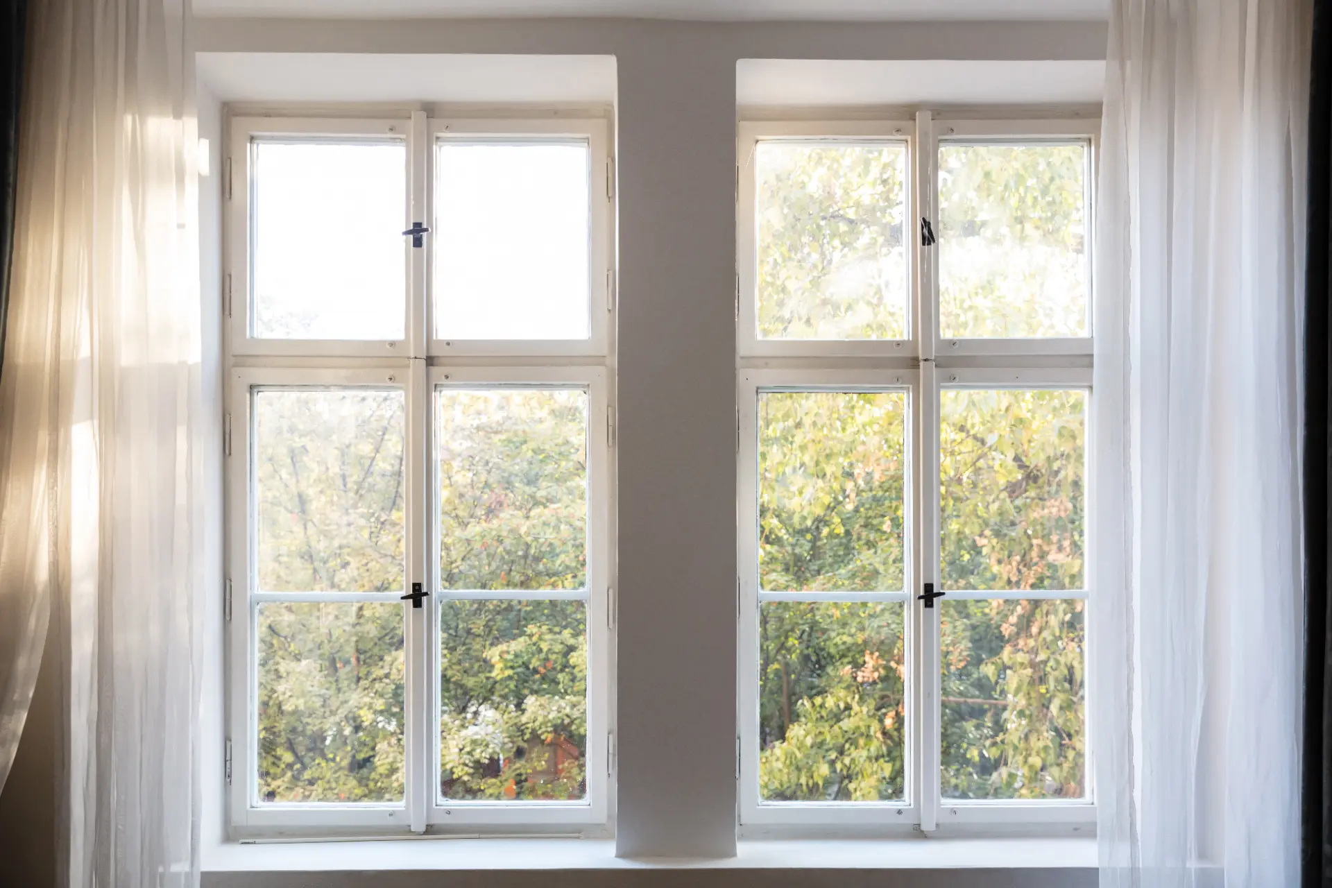 Pair of white-framed windows viewed from inside the home